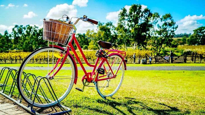 ☀️☀️Få din cykel gjort klar til ferien☀️☀️
Du kan få eftersyn på din cykel for 249,- og for din el-cykel koster det 360,-
Til turen har vi:
2 standard cykelslanger for 💯kr
Mini pumpe til 💯 kr
Kædeolie til 💯 kr
